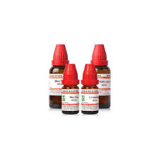 Clematis erecta 30 uses in hindi. Clematis Erecta Ch Buy Clematis Erecta Ch Online Schwabe India