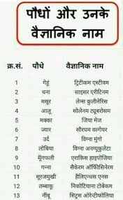 Pin On General Knowledge