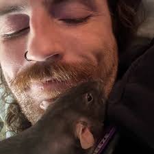 Anyone not getting your insurance back?