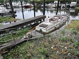 Image result for Rouge Marina 1987 UMM