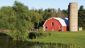 A barn is a building on a farm in which crops or animal food can be kept. Consider These Things When Building A Homestead Barn Hobby Farms