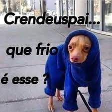 Que Frio E Esse Imagem Para Compartilhar No Whatsapp Facebook Pinteres Frases De Frio Engracadas Fotos Com Frases Engracadas Frases Engracadas Para Whatsapp