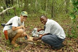 Image result for Gerardiina angolensis