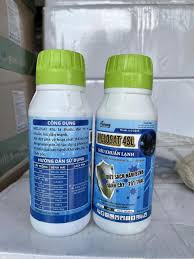 Niclosat 4SL