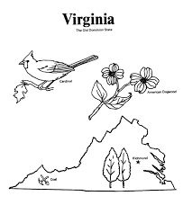 Virginia coloring pages are a fun way for kids of all ages to develop creativity, focus, motor skills and color recognition. Pin By Tania Coderre On Scouts Coloring Pages Bird Coloring Pages States Project
