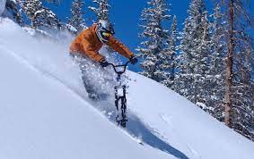 Ski Bikes Lenz Sport Skibike Made In Colorado Skibike Skiing Bike