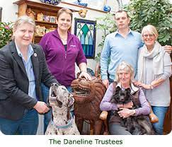 A mastiff known for its great size, bred in germany to hunt boar and large game. Daneline International Charitable Foundation Great Dane Rescue Rehoming And Fostering Great Danes