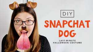 Here's where we get clever. Diy Last Minute Snapchat Dog Costume Halloween 2016 Karen Kavett