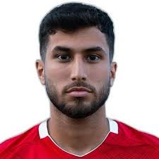 Profile D. Dodaj, Dietikon: Info, news, matches and statistics