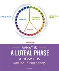 Pin On Thyroid Adrenal Fatigue And Auto Immune