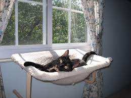 Image Result For Diy Cat Window Perch No Screws Cat Window Perch Cat Window Cat Perch