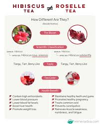 Hibiscus Tea Vs Roselle Tea Infographic Roselle Tea Tea Infographic Hibiscus Tea Benefits