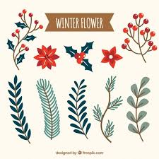 Download Collection Of Winter Flower For Free Christmas Card Design Christmas Illustration Christmas Art