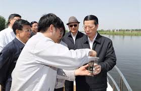 China Issues Five Year Reform Plan On Cultural Industry Business Chinadaily Com Cn