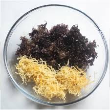 The Battle Of The Sea Moses Chondrus Vs Genus Which One Is Best Video Video Irish Moss Recipes Sea Moss Dr Sebi Recipes Alkaline Diet