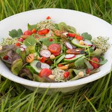 Salade De Chene Rouge A La Noix Au Radis Et Au Concombre Red Oak Leaves Salad With Nut Radish And Cucumber Salade Recette Salade Salades Composees