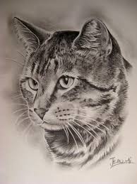 100 Art Disegni Di Gatti Tatuaggi Gattino Disegnare Animali