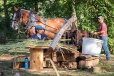 Cane Hill Harvest Festival