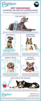 We cherish them as entertaining companions, and we love them deeply for the joy they bring to our lives. Pet Grooming Counting The Cost Of Looking Good Blog