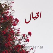 باسم رأفت محمد يوسف (ولد في 22 مارس 1974) هو كوميدي، كاتب، منتج، جراح، طبيب، ناقد إعلامي ومقدم تلفزيوني مصري، قدم برنامج البرنامج، الإخباري الساخر من 2011 إلى 2014. ØµÙˆØ± Ø§Ø³Ù… Ø§Ù‚Ø¨Ø§Ù„ Ù‚Ø§Ù…ÙˆØ³ Ø§Ù„Ø£Ø³Ù…Ø§Ø¡ Ùˆ Ø§Ù„Ù…Ø¹Ø§Ù†ÙŠ