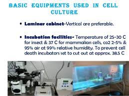 Jan 01, 1998 · materials a. Principles Of Cell Culture