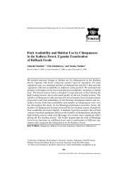 Image result for Musanga leo-errerae