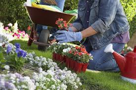 Maybe you would like to learn more about one of these? How To Take Plants And Gardens With You When You Move House Master Removers