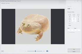 How To Use Windows 10 Paint 3d To Remove White Backgrounds And Make Transparent Images Windows Central Press the little chemical bottle icon, in the right to the fill tolerance slider.