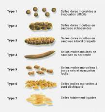 Dans ce cas, on retrouve le sang principalement sur le papier, lors de l'essuyage. Moi Mon Caca Et Mon Microbiote Apivia Prevention