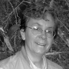 Faculty and Trainers