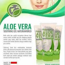 Beragam manfaat aloe vera untuk kecantikan kulit tersebut juga bisa kamu dapatkan dari pemakaian rutin natur sleeping mask sebelum rambut rontok sampai kebawa mimpi, ada artinya nggak yaaa? Natura Aloe Vera Pembersih Wajah Dan Perawatan Rambut Rontok Shopee Indonesia