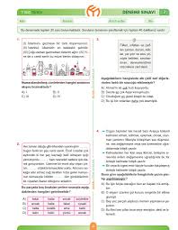 7 Sinif Turkce Evdekal Deneme Sinavi Model Yayinlari Turkceci Net Turkce Testleri