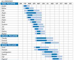 Check spelling or type a new query. Covid 19 And Allergies Allergy Season Gets Worse Every Year Here S Why Vox