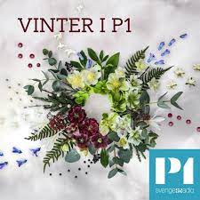 + 10/500 alla avsnitt av sommar & vinter i p1. Sommar Vinter I P1