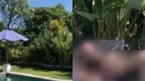 Check spelling or type a new query. Viral Video Pesta Seks Di Sebuah Villa Di Bali Pelaku Sengaja Unggah Lewat Tiktok Tribun Jogja