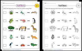 worksheets for kids free printables for k 12