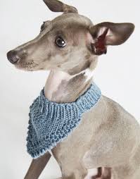 This could be scaled up for larger dogs. Hound Dog Bandana Wool And The Gang