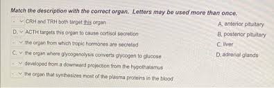 Plasma Protein | Ppt