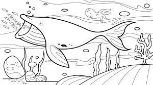*free* shipping on qualifying offers. Whale Under The Sea Coloring Book Vector Stock Vector Illustration Of Drawing Funny 166970621