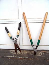 Check spelling or type a new query. Keeping Tools Sharp Garden Tips Taverham Nursery Centre Norwich