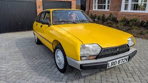 Image result for Jaune Lacerta 2011 Citroen