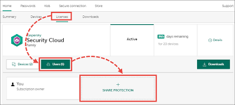 How To Activate Kaspersky Security Cloud 20