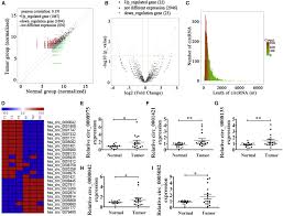 Convert euro（eur) to japanese yen (jpy) at the current exchange rate. Upregulated Circrna Arhgap10 Predicts An Unfavorable Prognosis In Nsclc Through Regulation Of The Mir 150 5p Glut 1 Axis Molecular Therapy Nucleic Acids