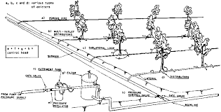 Chapter 6 Drip Irrigation