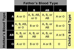 15 Best Blood Types Images Blood Blood Groups Medical