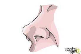 We did not find results for: How To Draw A Nose Easy Drawingnow