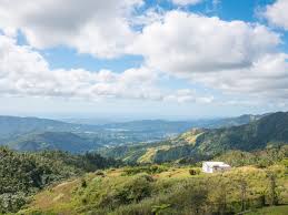 Hike the massive el yunque rainforest to see waterfalls, stone towers, and colorful puerto rican wildlife. Puerto Rico Reisen Reiseinformationen Karibik Eu