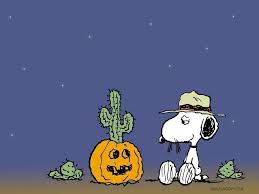 We did not find results for: Snoopy Halloween Background 1024x768 Wallpaper Teahub Io