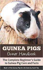 Pin On Guinea Pigs