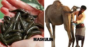 Gambir sekiranya ada masalah gatal pada kulit, cuba petua ini. Hidu Kentut Untuk Cegah Kanser Dan Sakit Jantung Ini 10 Rawatan Pelik Tapi Mujarab Maskulin